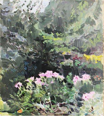 Маторин Михаил Владимирович. Флоксы 